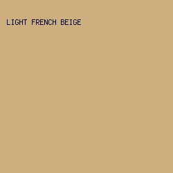 ccae7f - Light French Beige color image preview