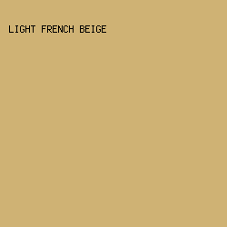 cfb274 - Light French Beige color image preview
