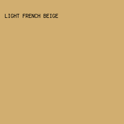 d1ae70 - Light French Beige color image preview
