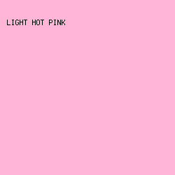 FFB5D8 - Light Hot Pink color image preview