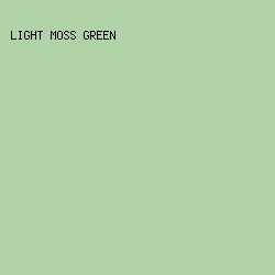B0D2A7 - Light Moss Green color image preview