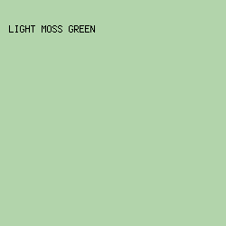 B2D4AB - Light Moss Green color image preview