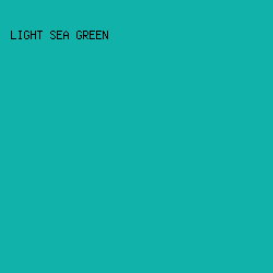 11b2aa - Light Sea Green color image preview