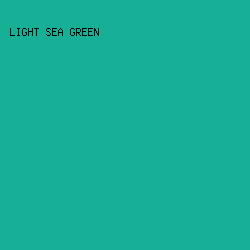 17B096 - Light Sea Green color image preview