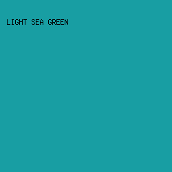 189ea3 - Light Sea Green color image preview