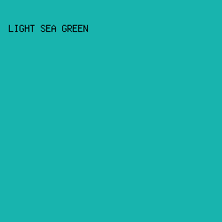 18B4AE - Light Sea Green color image preview