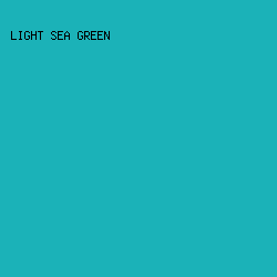 1BB2B8 - Light Sea Green color image preview