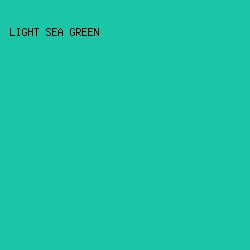 1BC5A7 - Light Sea Green color image preview