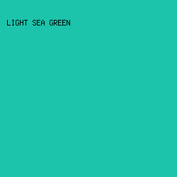 1CC4AB - Light Sea Green color image preview