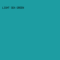 1D9DA2 - Light Sea Green color image preview