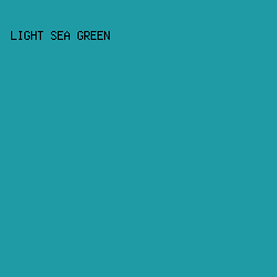 1F9BA5 - Light Sea Green color image preview