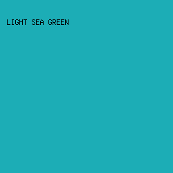 1cadb6 - Light Sea Green color image preview