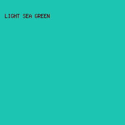 1cc4b1 - Light Sea Green color image preview