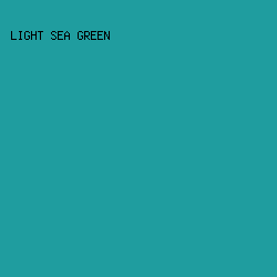 1f9d9f - Light Sea Green color image preview