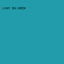 229CAB - Light Sea Green color image preview