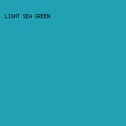 22A1B5 - Light Sea Green color image preview