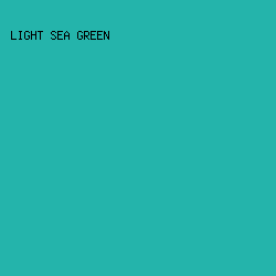 24b4ab - Light Sea Green color image preview
