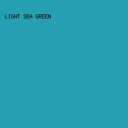 259FB1 - Light Sea Green color image preview