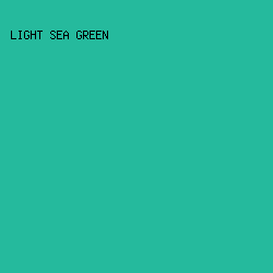25BA9D - Light Sea Green color image preview