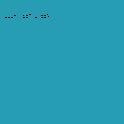 269DB2 - Light Sea Green color image preview