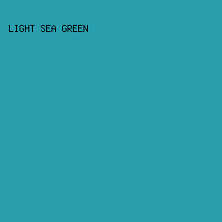 299EAD - Light Sea Green color image preview