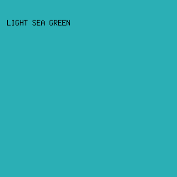 2BAFB5 - Light Sea Green color image preview