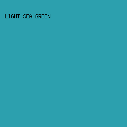 2CA0AE - Light Sea Green color image preview