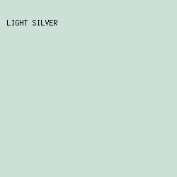 CCE0D7 - Light Silver color image preview