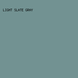 729292 - Light Slate Gray color image preview