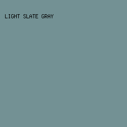 739194 - Light Slate Gray color image preview