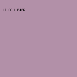 B290A8 - Lilac Luster color image preview