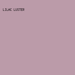 BB9BA9 - Lilac Luster color image preview