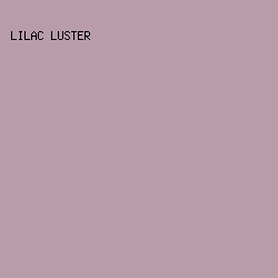 b89da9 - Lilac Luster color image preview
