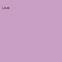 C99FC5 - Lilac color image preview