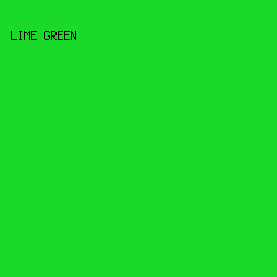 19DA28 - Lime Green color image preview