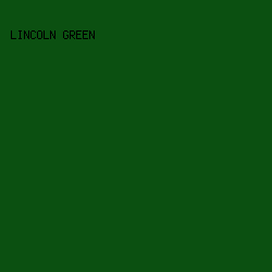 0b5011 - Lincoln Green color image preview