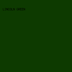 0d3a00 - Lincoln Green color image preview