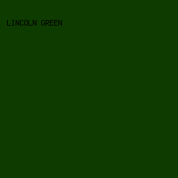 0e3b00 - Lincoln Green color image preview