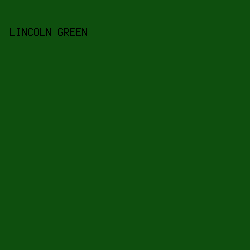 0e4f0e - Lincoln Green color image preview
