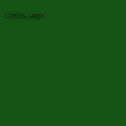 105313 - Lincoln Green color image preview