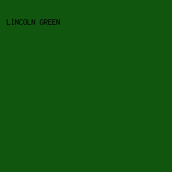 10560f - Lincoln Green color image preview