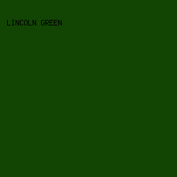 124504 - Lincoln Green color image preview