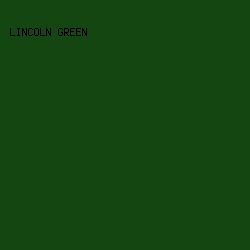 134611 - Lincoln Green color image preview