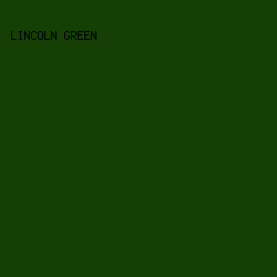 153F05 - Lincoln Green color image preview
