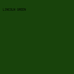 18430b - Lincoln Green color image preview