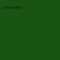 185512 - Lincoln Green color image preview