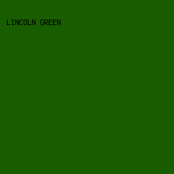 185d00 - Lincoln Green color image preview
