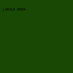194805 - Lincoln Green color image preview