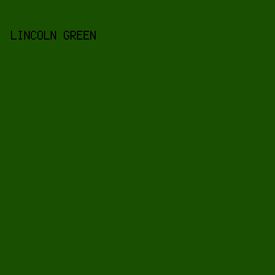 194f01 - Lincoln Green color image preview