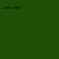 1C5006 - Lincoln Green color image preview